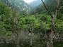 双峰山森林公园